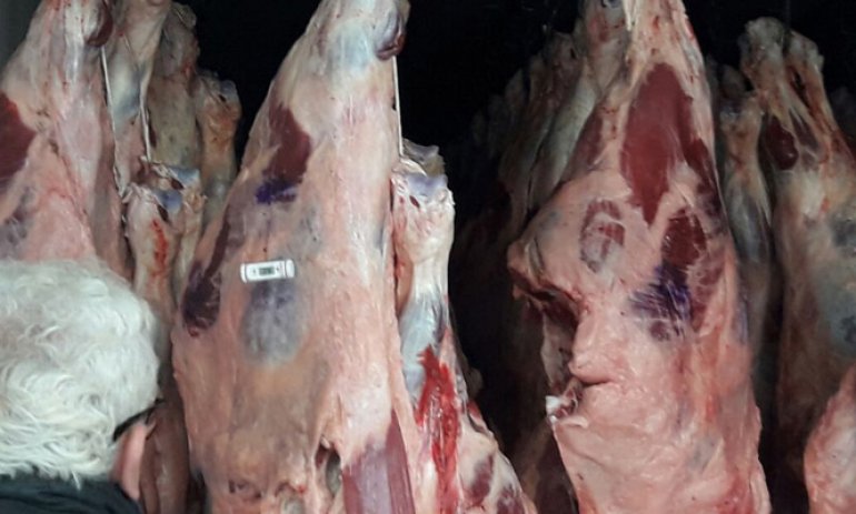 El intendente Ducoté despegó a la Comuna del escándalo de la carne contaminada