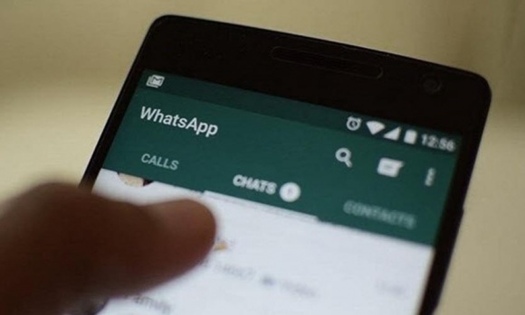 El WhatsApp que responde dudas sobre las elecciones legislativas