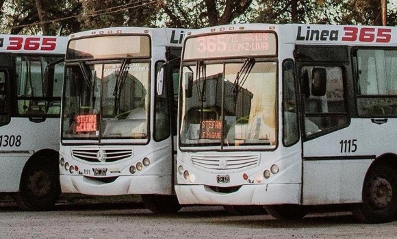 Asaltaron a un chofer de colectivos y lo golpearon en la cabeza