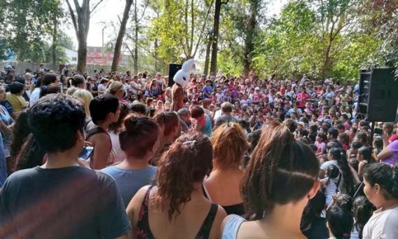 Más de una veintena de chicos sufrieron picaduras de avispas en el Parque Central