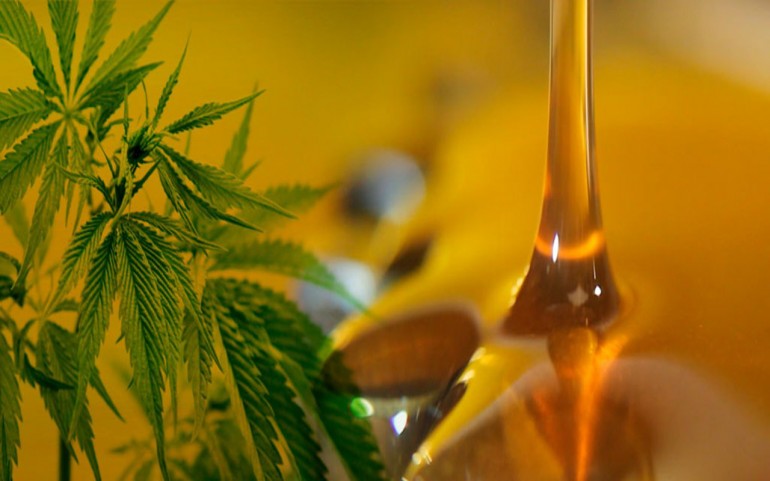 El debate por el uso del aceite de cannabis con  fines medicinales llegó a Pilar