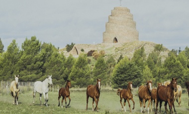 Mapa bonaerense: los secretos de Puan y Campana
