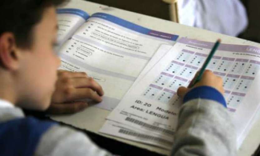 Evaluación Aprender en la Provincia: Mejoras en Lengua y retrocesos en Matemática