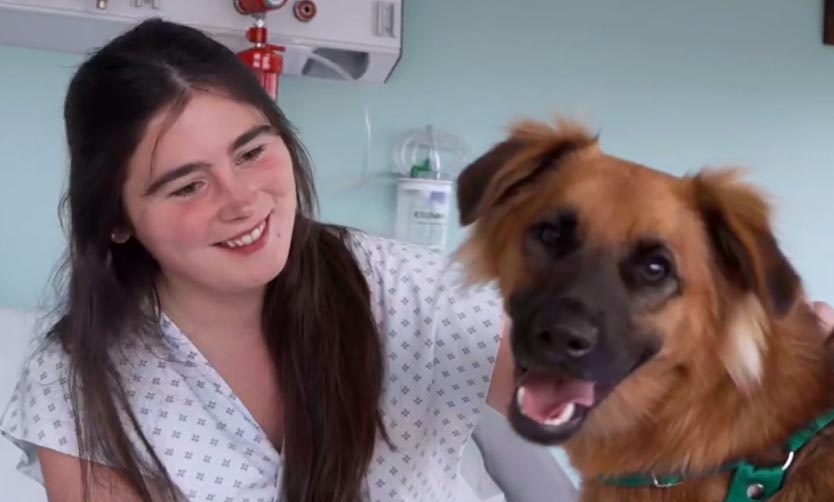 El Hospital Austral permite que los pacientes de terapia sean visitados por sus mascotas