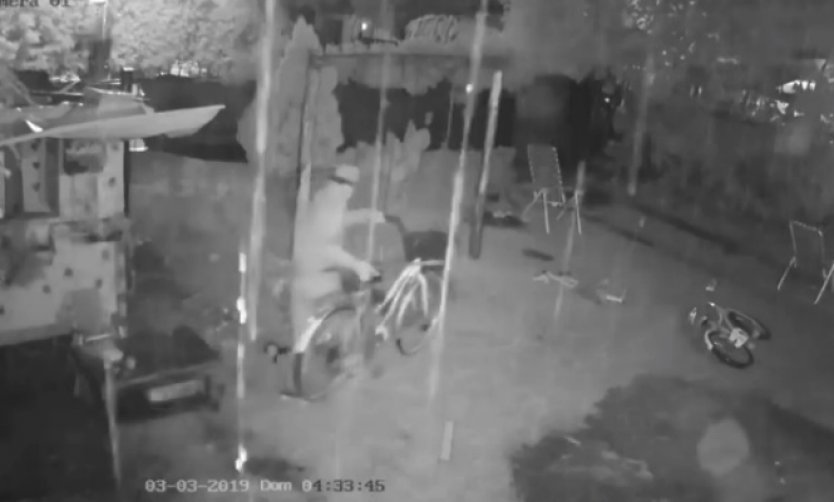 Video: ladrón ingresa al patio de una casa a robar