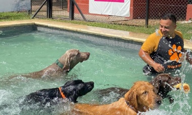 Resort para mascotas desmintió que aloja a los perros de Javier Milei