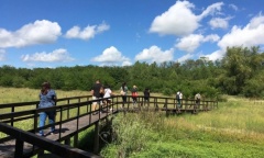 Jornada de control y plantación en la Reserva Natural