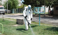 Brote de dengue en municipios bonaerenses: “La curva de casos sigue en ascenso