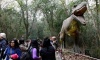 Todo listo para la reapertura del Parque Pilar Jurásico en Vacaciones de Invierno