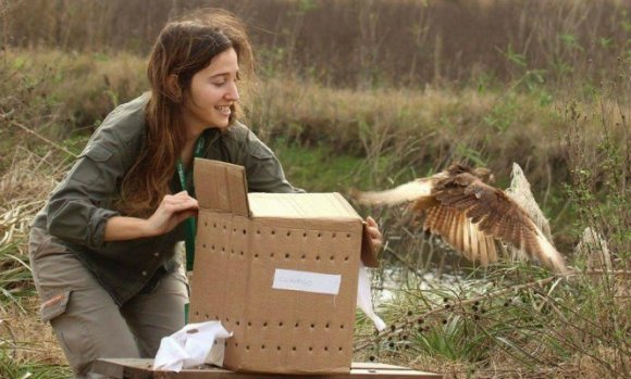 Liberaron en la Reserva Natural a varias aves rescatadas en operativos de tráfico de fauna