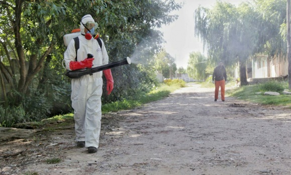 La Provincia investiga un posible brote de chikungunya: hay tres casos autóctonos