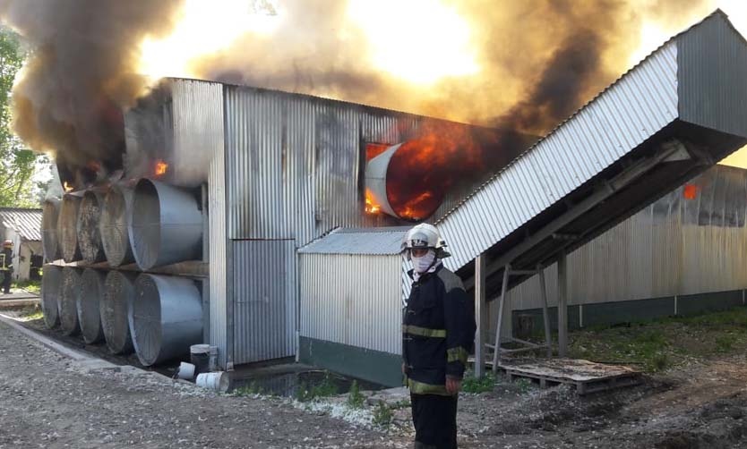 Miles de gallinas ponedoras murieron al incendiarse un galpón industrial