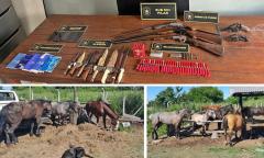 La Policía desarticuló una banda dedicada al robo de caballos