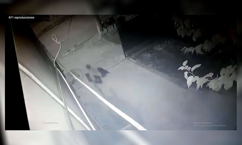 Ladrón ingresó a robar a una casa y quedó filmado