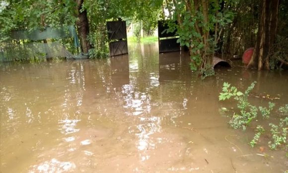 Insólito: Pese a que no llueva, un vecino vive permanentemente inundado