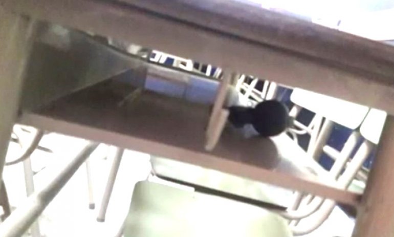 Video: Encontraron una granada debajo de un pupitre en una escuela de Savio
