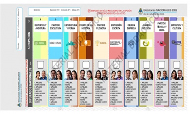Cómo funciona la Boleta Única Papel que debuta en la provincia en octubre