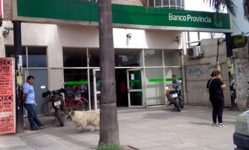 Ante la futura mudanza, piden que el Banco Provincia permanezca en el centro de Del Viso