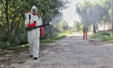 Brote: reportaron en Pilar una treintena de casos de dengue