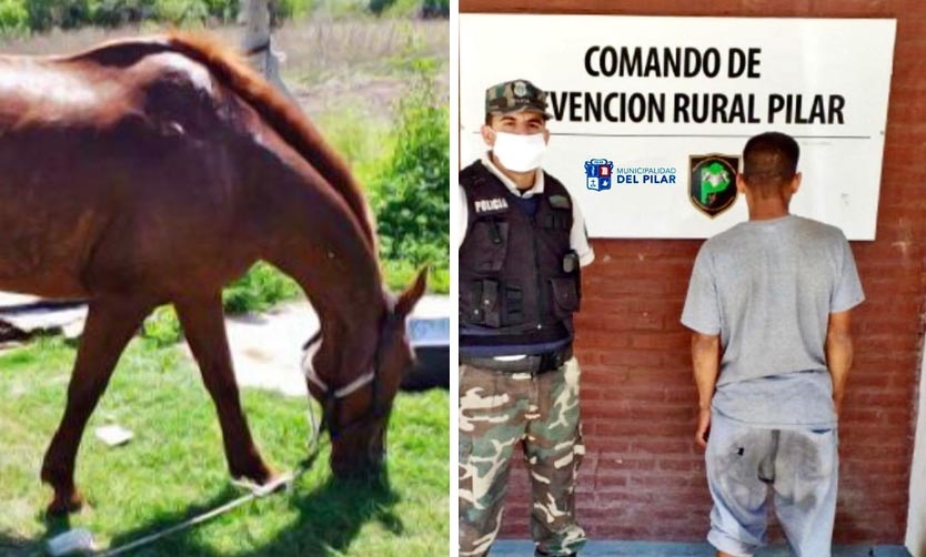 La Policía Rural recuperó un caballo robado