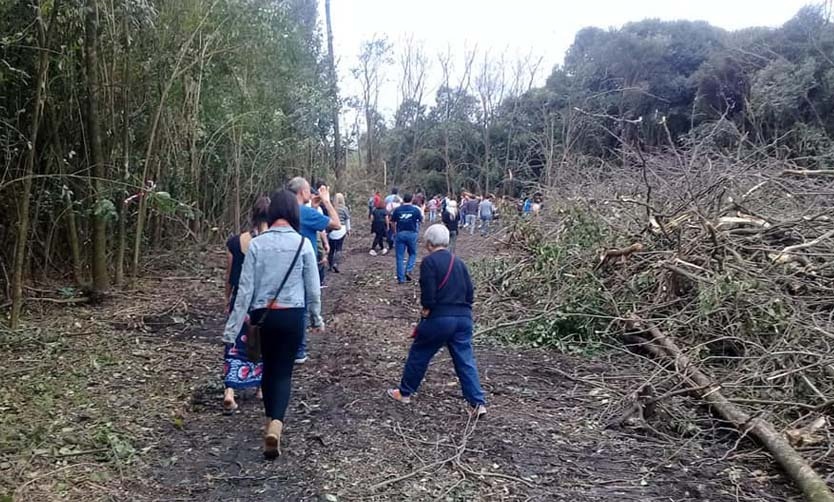 Ambientalistas se movilizaron en defensa del bosque nativo del Pellegrini