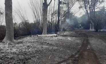Bomberos de Pilar alertan que no dan abasto por los incendios forestales