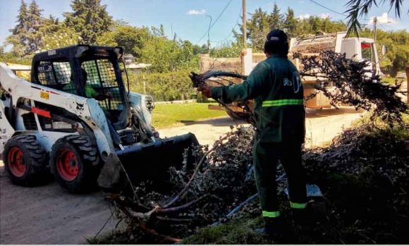 Para prevenir el dengue, la Comuna realiza operativos de descacharreo y fumigación